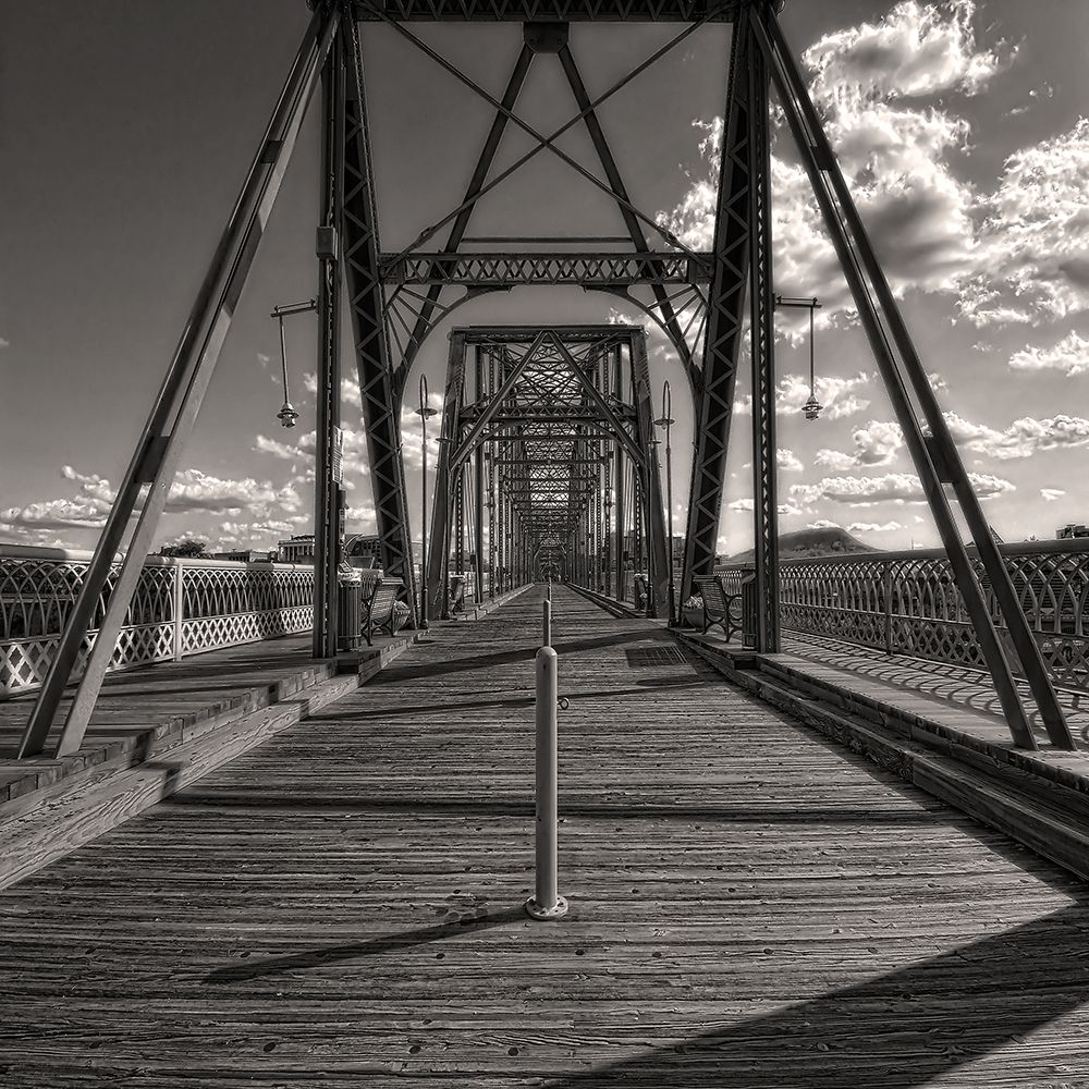 Walnut Walk Glamour BW art print by Rachel Lee for $57.95 CAD