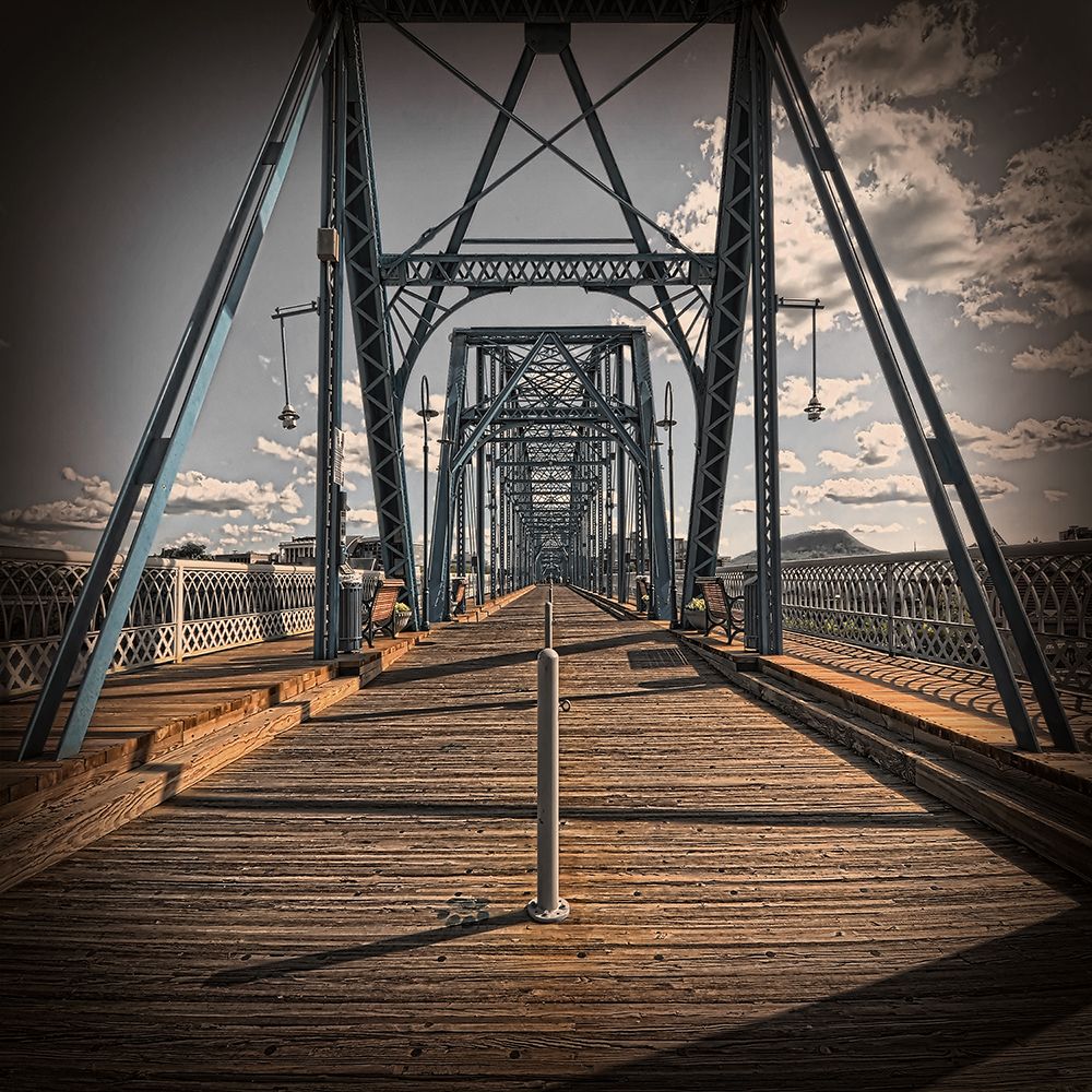 Walnut Walk Low Color Vignette art print by Rachel Lee for $57.95 CAD
