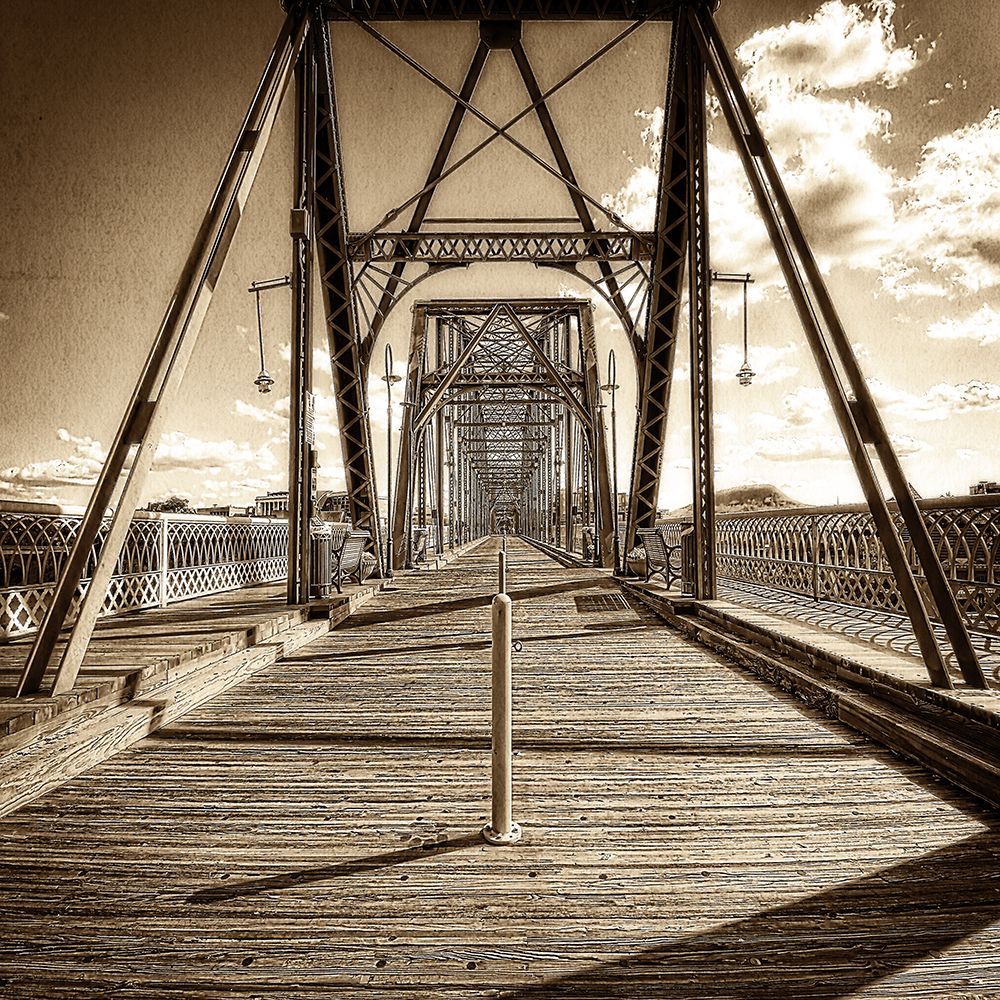 Walnut Walk Sepia art print by Rachel Lee for $57.95 CAD