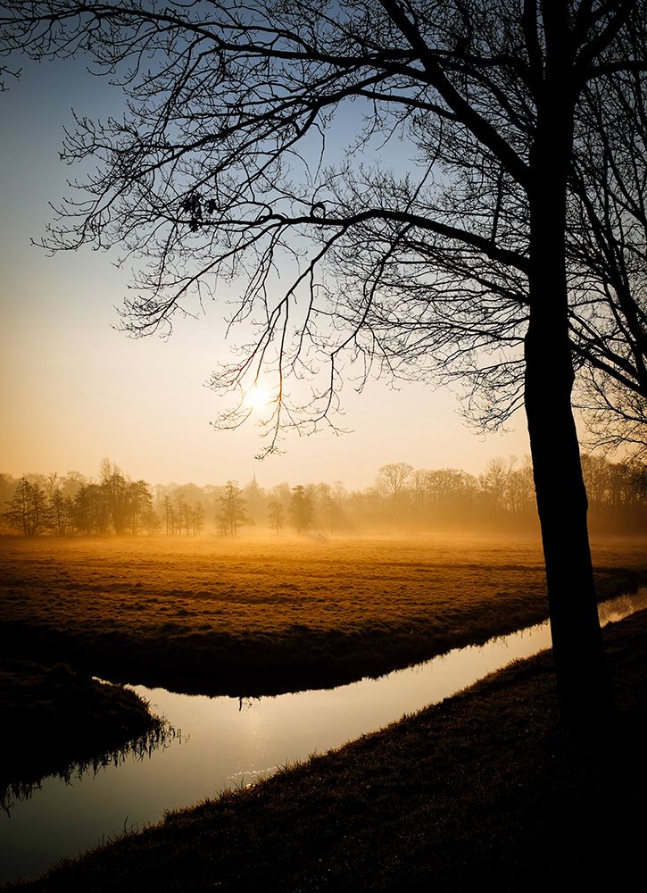 Water Sunrise art print by Rachel Lee for $57.95 CAD