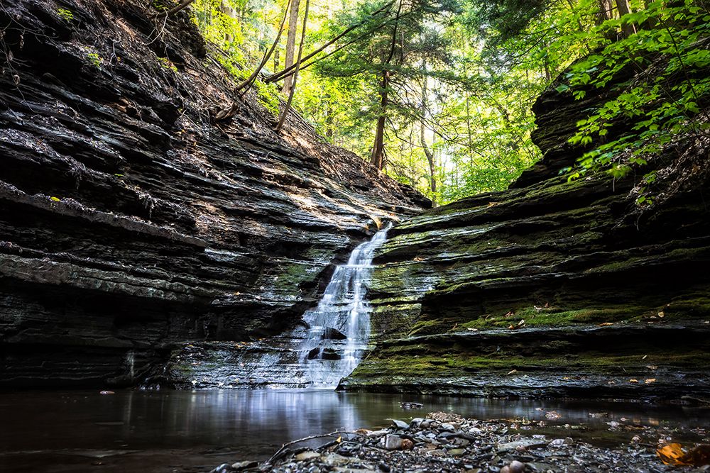 Waterfall 1 art print by Rachel Lee for $57.95 CAD