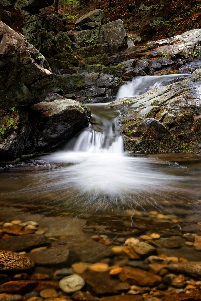 Waterfall 11 art print by Rachel Lee for $57.95 CAD
