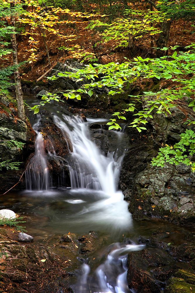 Waterfall 14 art print by Rachel Lee for $57.95 CAD