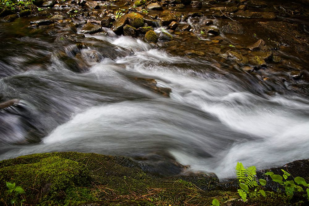 Waterfall 2 art print by Rachel Lee for $57.95 CAD