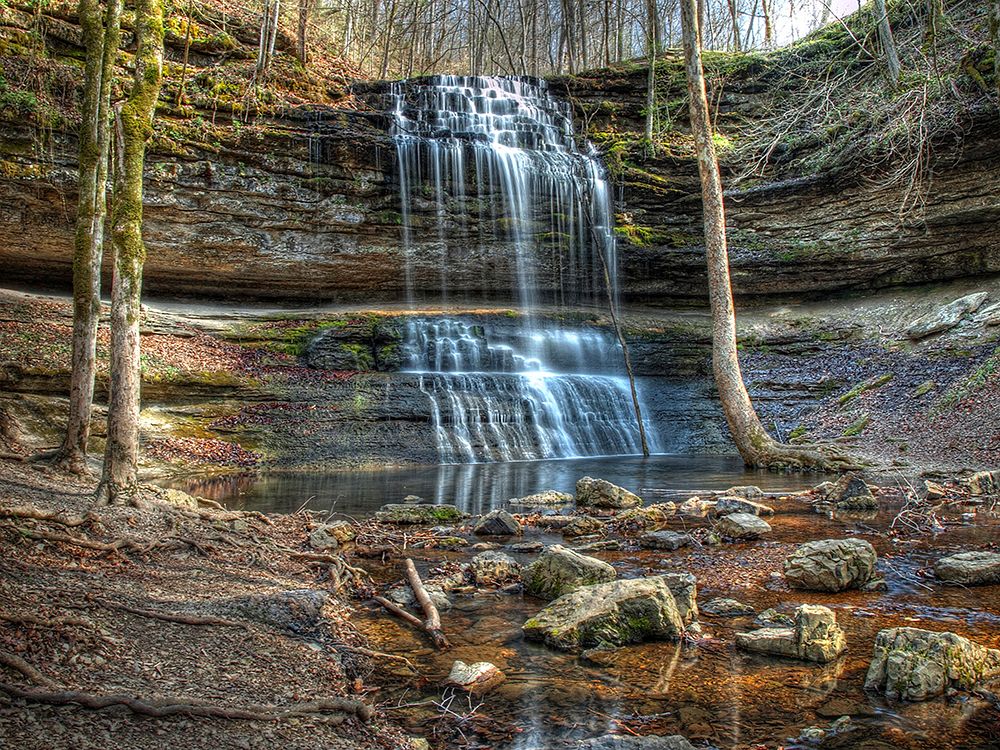 Waterfall 20 art print by Rachel Lee for $57.95 CAD
