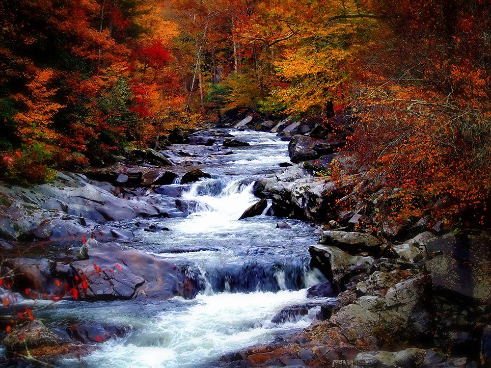Waterfall 22 art print by Rachel Lee for $57.95 CAD