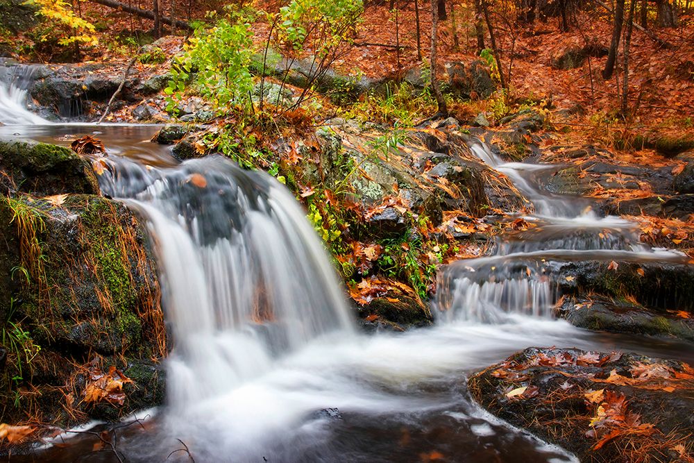 Waterfall 3 art print by Rachel Lee for $57.95 CAD