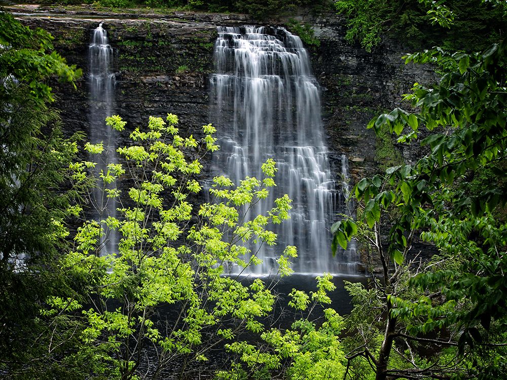 Waterfall 34 art print by Rachel Lee for $57.95 CAD