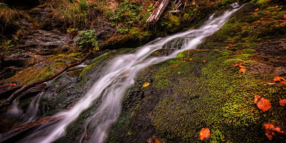 Waterfall 35 art print by Rachel Lee for $57.95 CAD