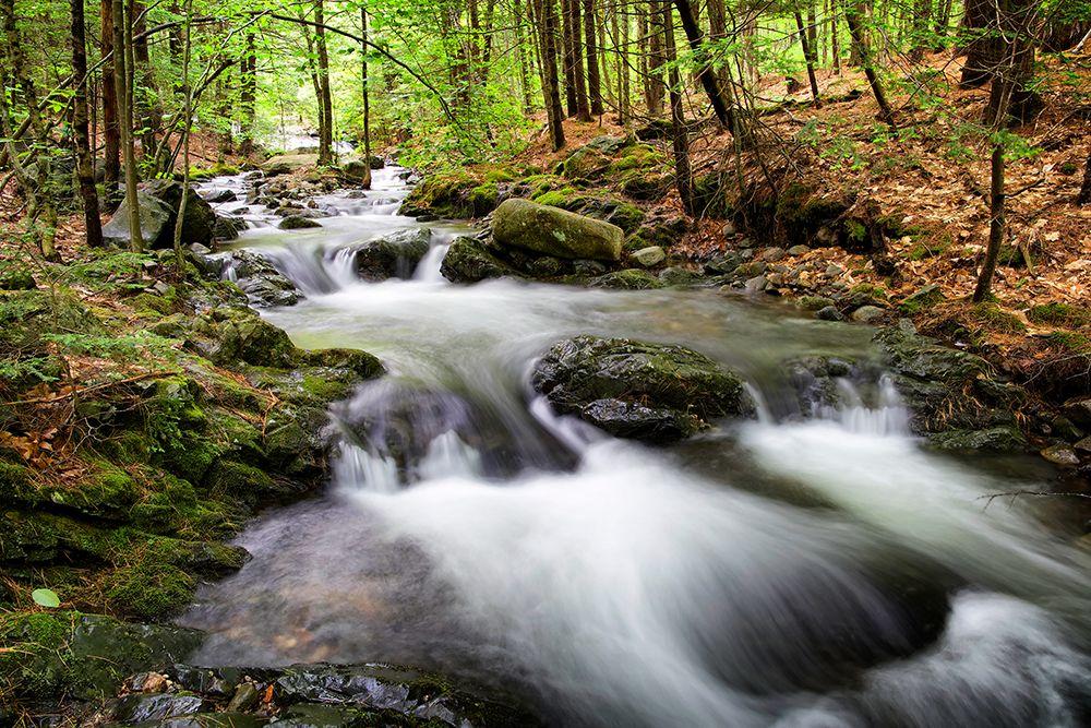 Waterfall 4 art print by Rachel Lee for $57.95 CAD