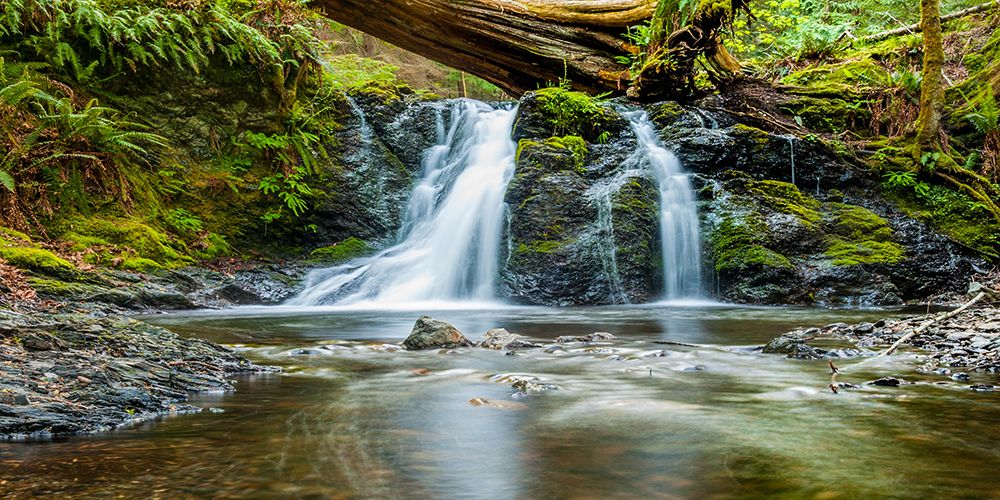 Waterfall 40 art print by Rachel Lee for $57.95 CAD
