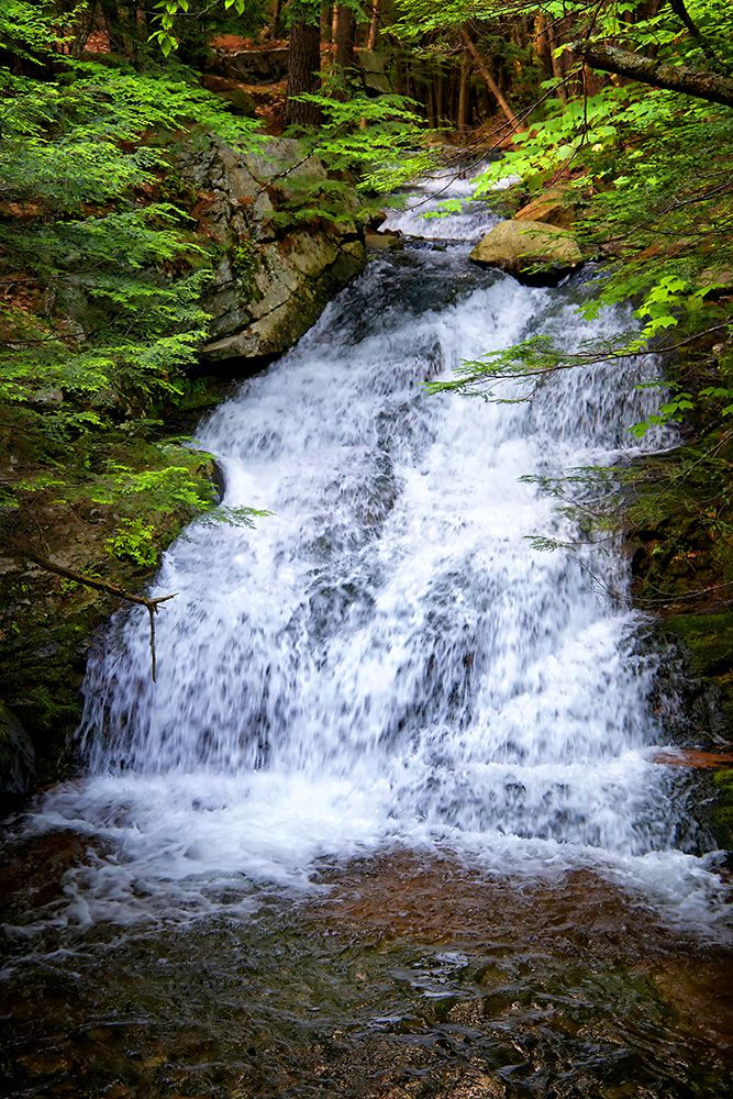 Waterfall 5 art print by Rachel Lee for $57.95 CAD