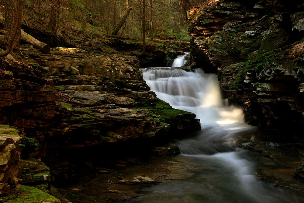 Waterfall 52 art print by Rachel Lee for $57.95 CAD