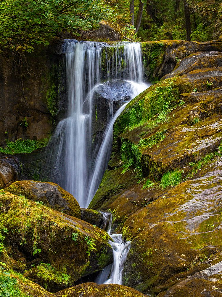 Waterfall 57 art print by Rachel Lee for $57.95 CAD