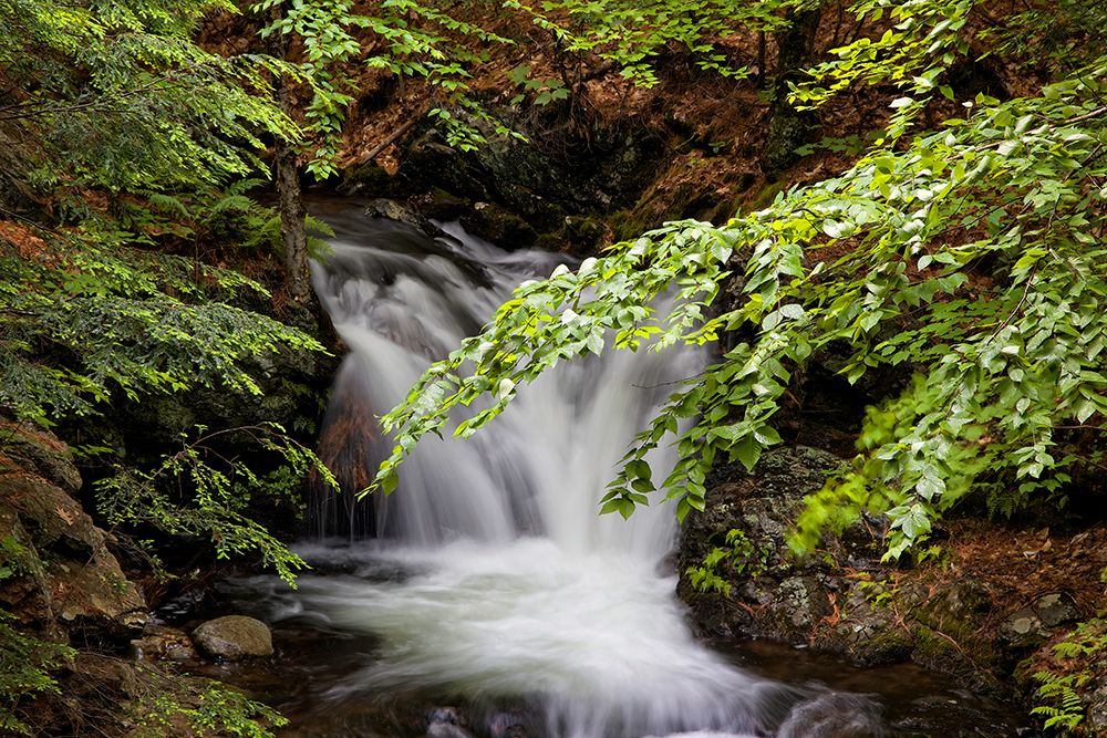 Waterfall 6 art print by Rachel Lee for $57.95 CAD