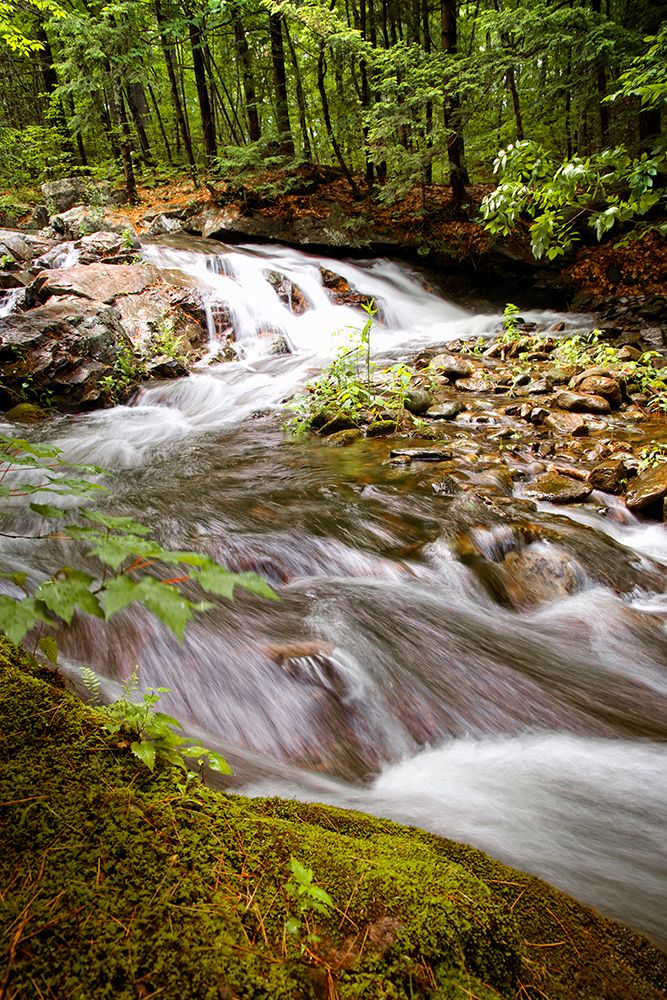Waterfall 9 art print by Rachel Lee for $57.95 CAD