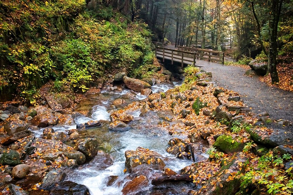 Waterfall And Walking Path art print by Rachel Lee for $57.95 CAD