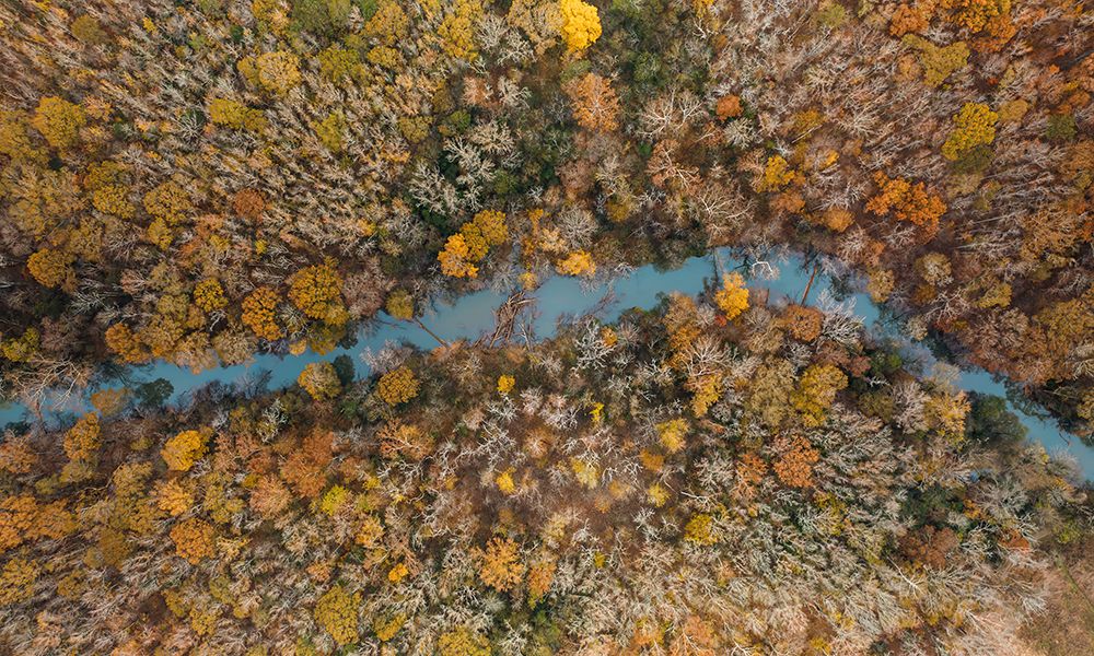 Aerial 11 art print by Screendoor for $57.95 CAD