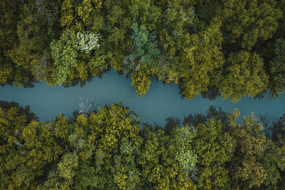 Aerial 18 art print by Screendoor for $57.95 CAD