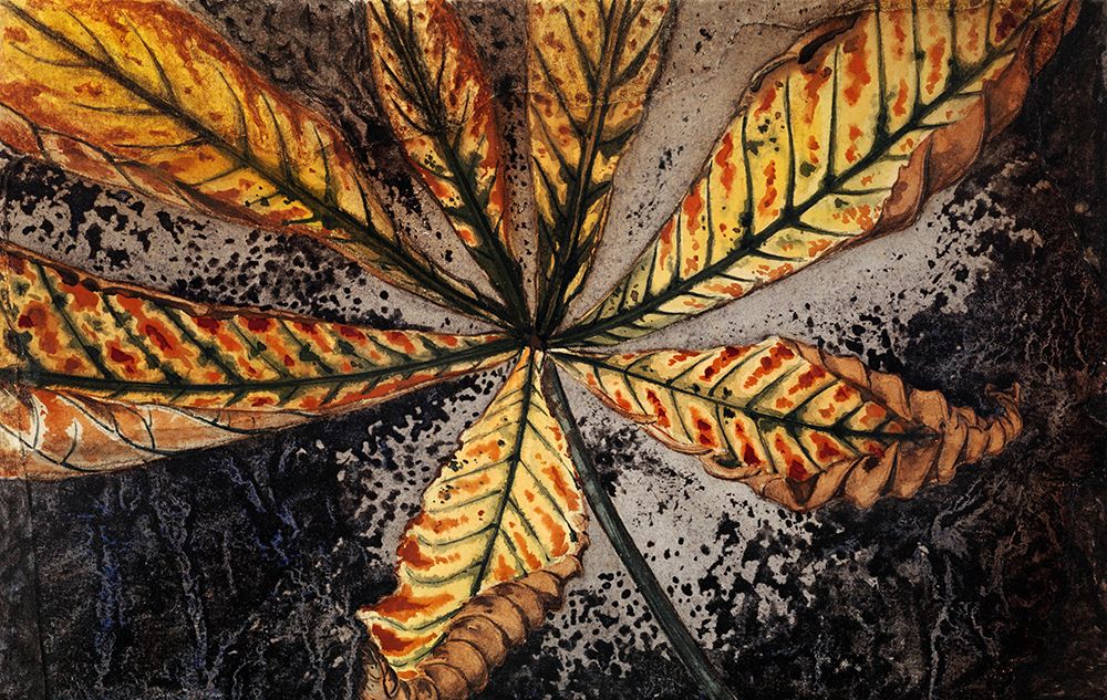 Chestnut Leaf_Julie de Graag art print by Screendoor for $57.95 CAD