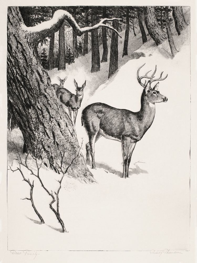 Deer Family_Rodney Thomson art print by Screendoor for $57.95 CAD