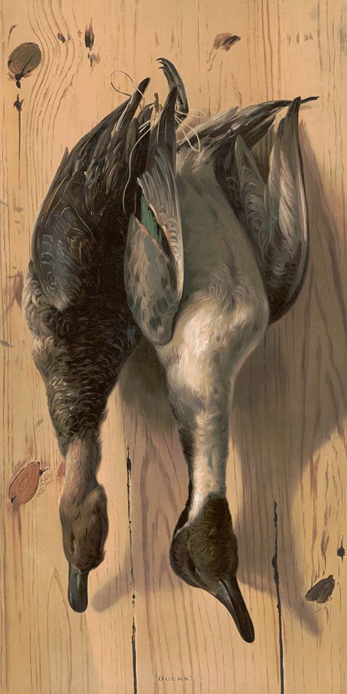 Ducks art print by Screendoor for $57.95 CAD