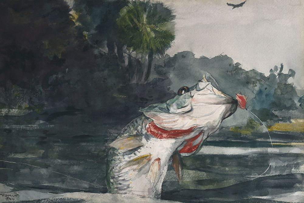 Life-Size Black Bass_Winslow Homer 1904 art print by Screendoor for $57.95 CAD