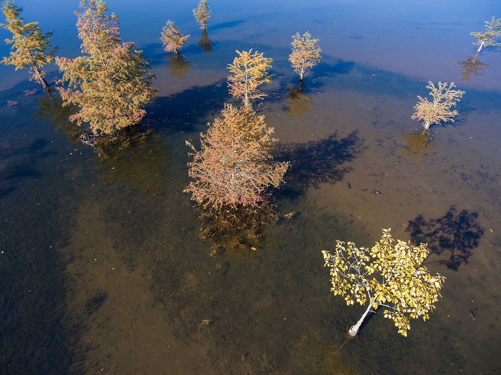 Fall Lake 2 art print by Will Malone for $57.95 CAD