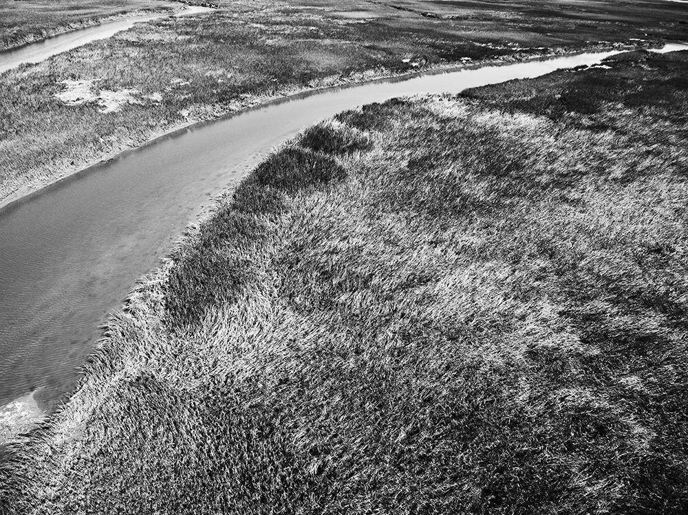 Monochrome Marsh art print by Will Malone for $57.95 CAD