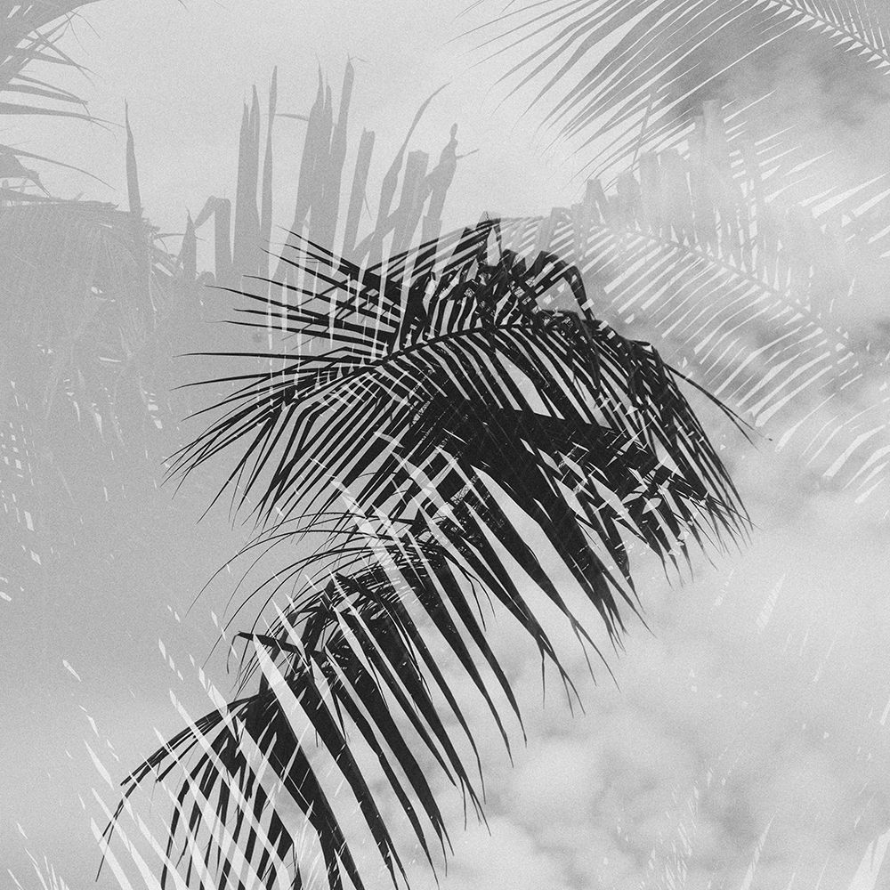Palm 2 art print by Will Malone for $57.95 CAD
