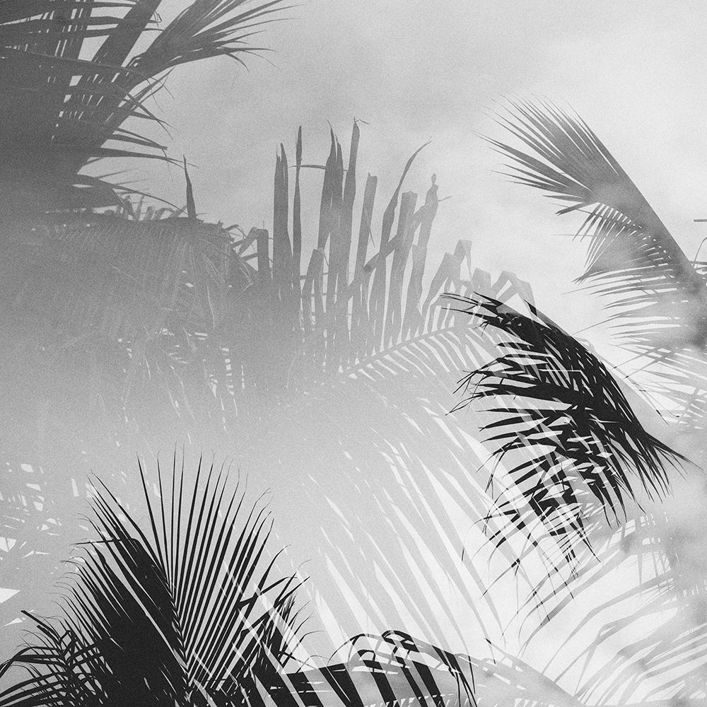 Palm 3 art print by Will Malone for $57.95 CAD