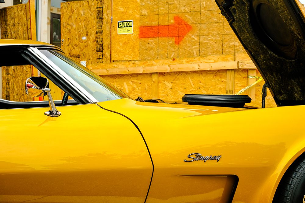 Stingray art print by Will Malone for $57.95 CAD