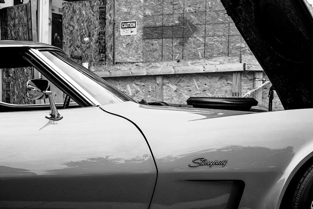 Stingray BW art print by Will Malone for $57.95 CAD