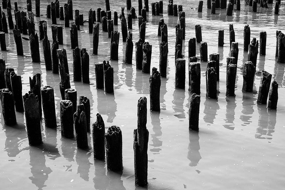 Posts art print by Will Malone for $57.95 CAD