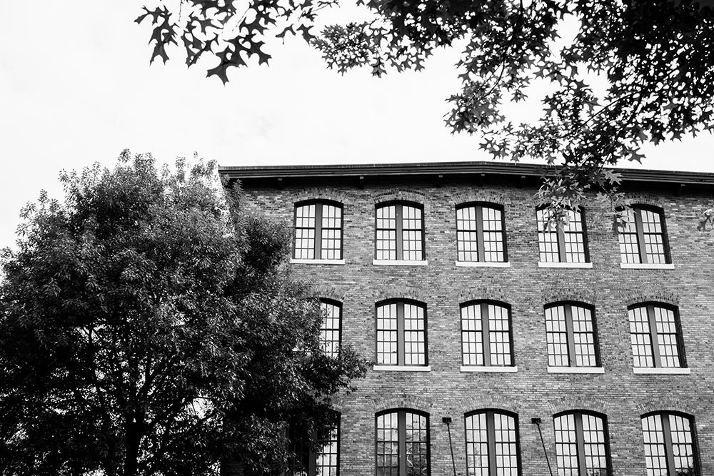 Sunny Windows BW art print by Will Malone for $57.95 CAD