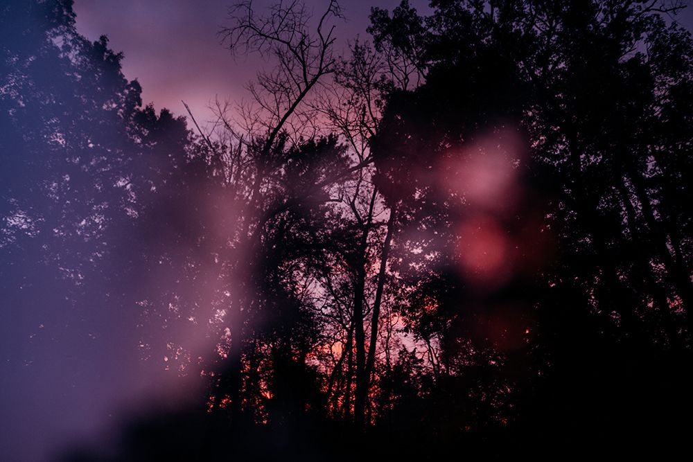 Sunset 1 art print by Will Malone for $57.95 CAD