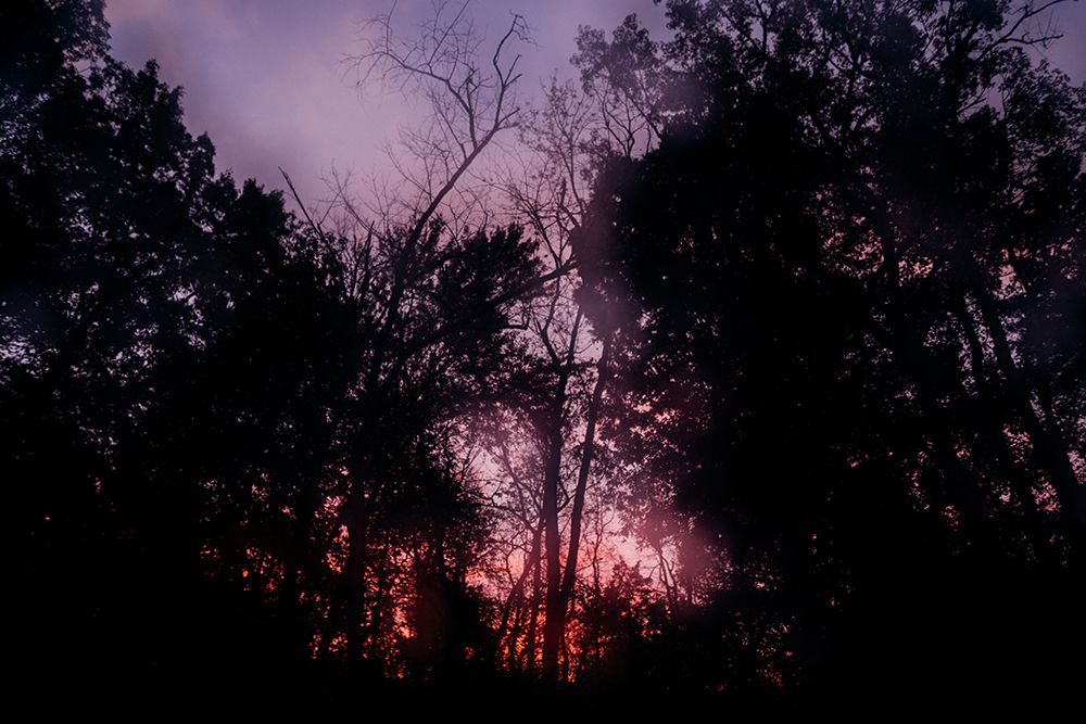 Sunset 2 art print by Will Malone for $57.95 CAD