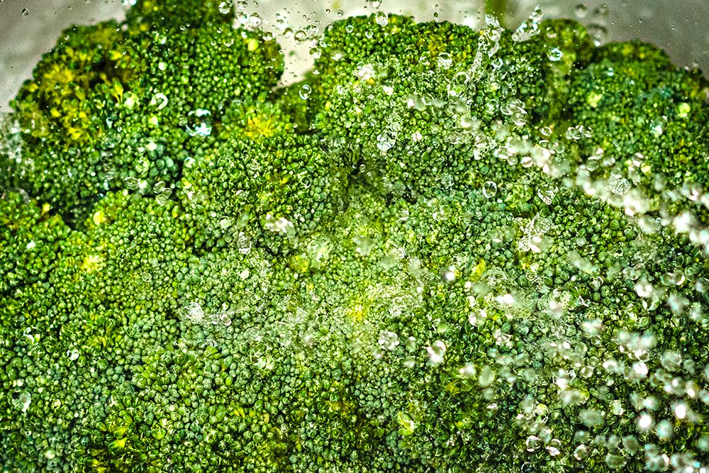 Broccoli Bath art print by Will Malone for $57.95 CAD