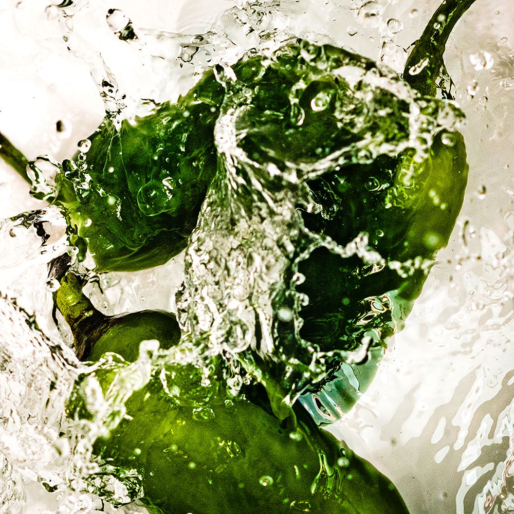 Jalape├â┬▒o Dance art print by Will Malone for $57.95 CAD