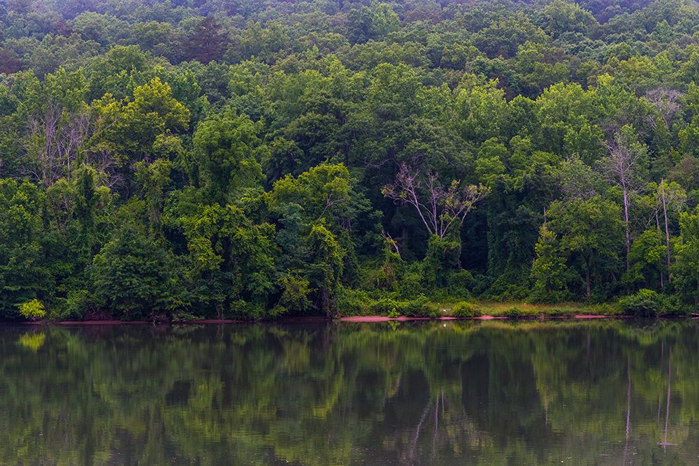 Across The River art print by Will Malone for $57.95 CAD