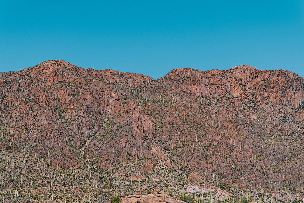 Cactus Mountain 1 art print by Will Malone for $57.95 CAD