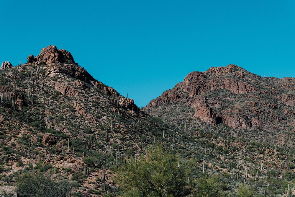 Cactus Mountain 2 art print by Will Malone for $57.95 CAD