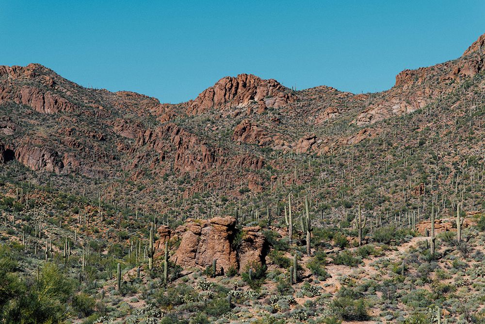 Cactus Mountain 4 art print by Will Malone for $57.95 CAD