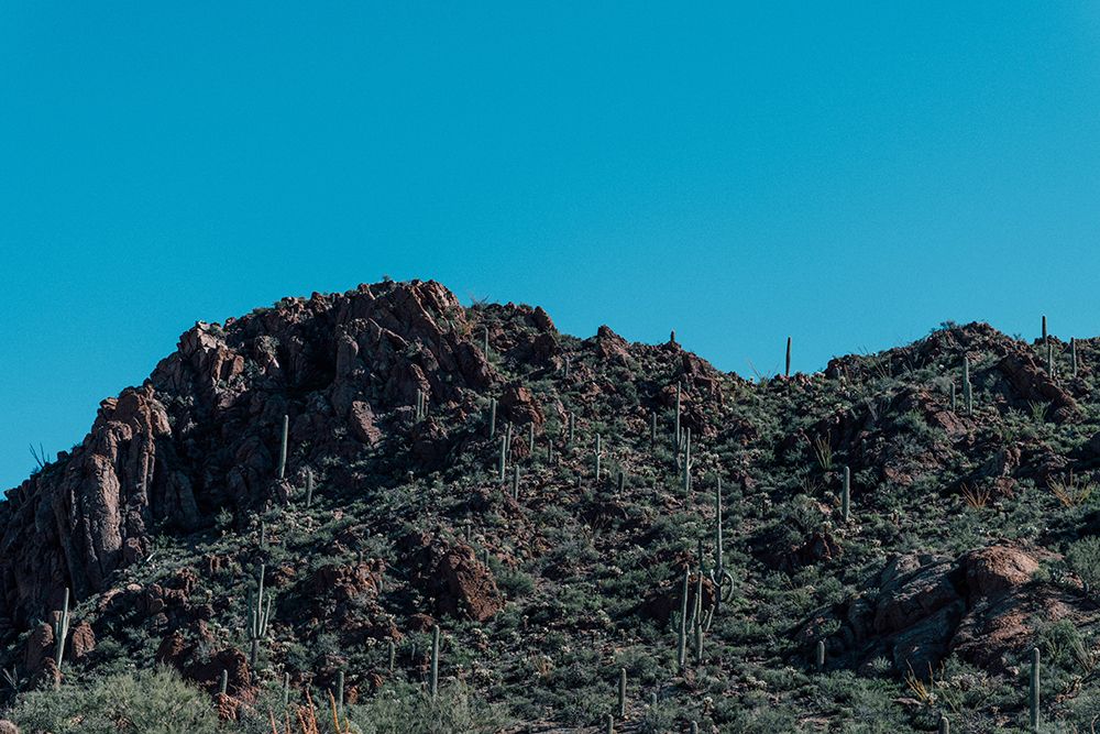 Cactus Mountain 5 art print by Will Malone for $57.95 CAD