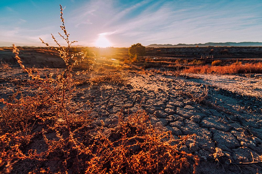 Desert Sunset 3 art print by Will Malone for $57.95 CAD