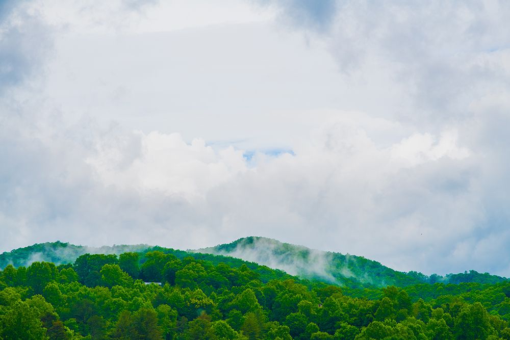 Mountain Top Green art print by Will Malone for $57.95 CAD