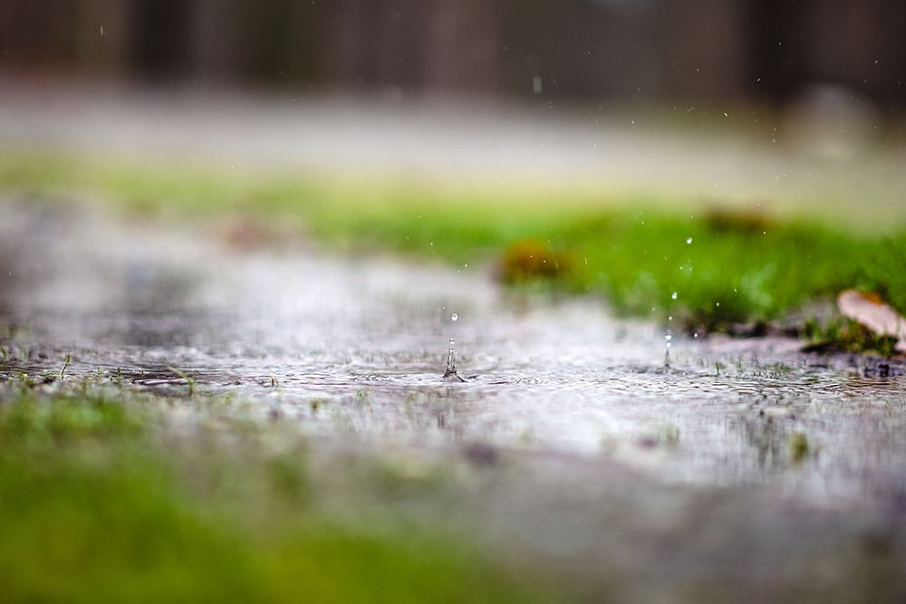 Raindrop art print by Will Malone for $57.95 CAD
