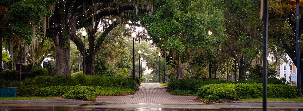 Chain of Parks Rain art print by Will Malone for $57.95 CAD