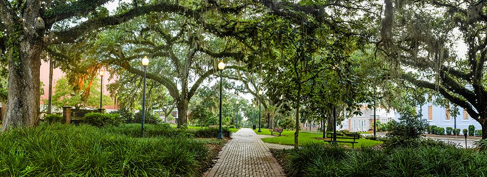 Chain of Parks Rain 2 art print by Will Malone for $57.95 CAD