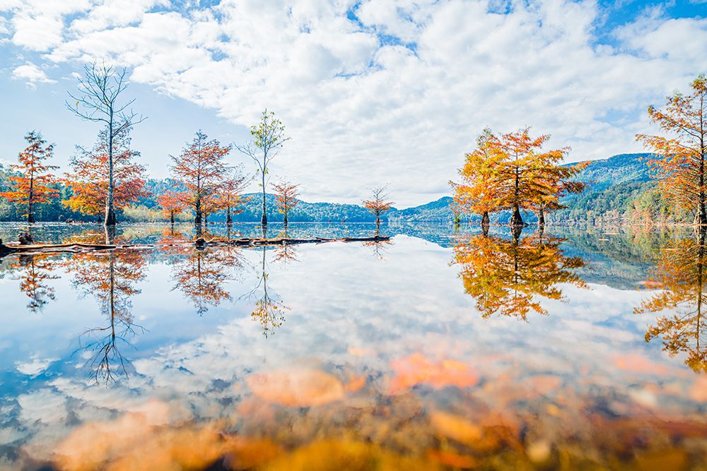 Fall Lake art print by Will Malone for $57.95 CAD